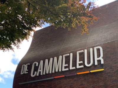 Desray brengt theaterconcert ‘New Energy’ naar Podium Cammeleur in Dongen