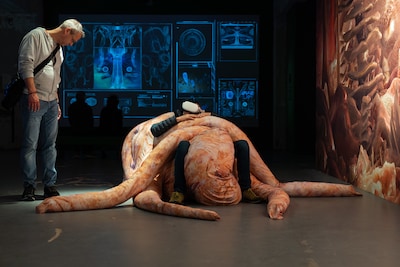 Image related to the article