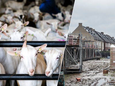 Image related to the article