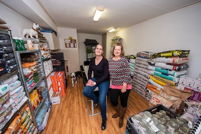 Image related to the article