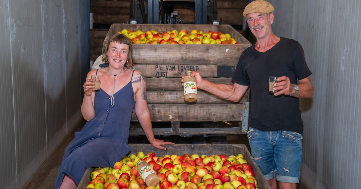 Samen tegen verspilling: Zeister familie redt 45.000 kilo appels door ze tot sap te laten maken