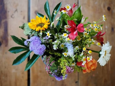 Onderscheiding voor Frans en Tineke Theunis