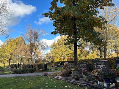 De cirkel lijkt rond nu een kleindochter van Willem en Annie het huis kocht waar ze altijd bij opa e