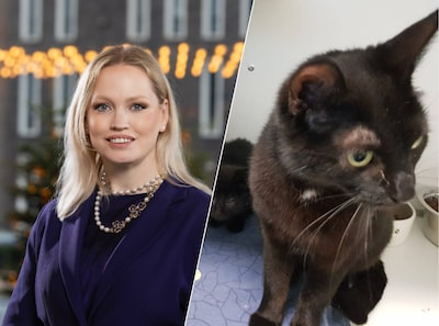 Image related to the article