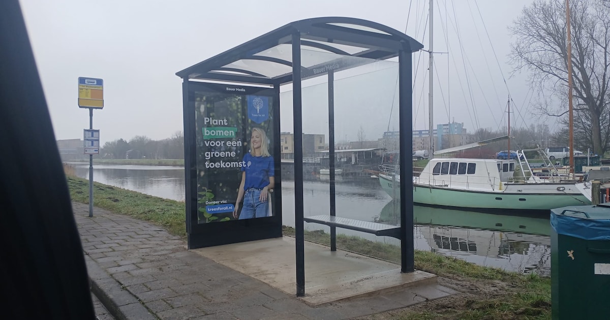 Bushokje duikt na ruim een jaar ineens op: Sandra reageert verbaasd én teleurgesteld : ‘Wat saai!’