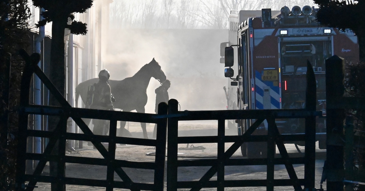 Landbouwvoertuig in brand op de Waalseweg Tull en 't Waal, paarden in veiligheid gebracht