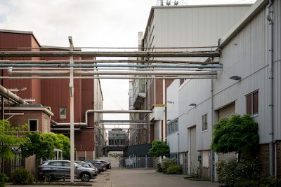 Image related to the article