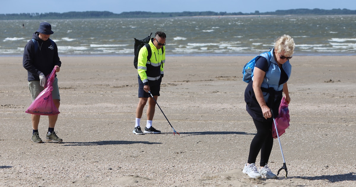 Staatsbosbeheer Texel houdt opruimactie in Slufter-noord