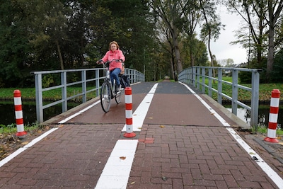Tilburg zet de zaag in gevaarlijke fietspaaltjes: eerst de Blaak, dan de Reeshof