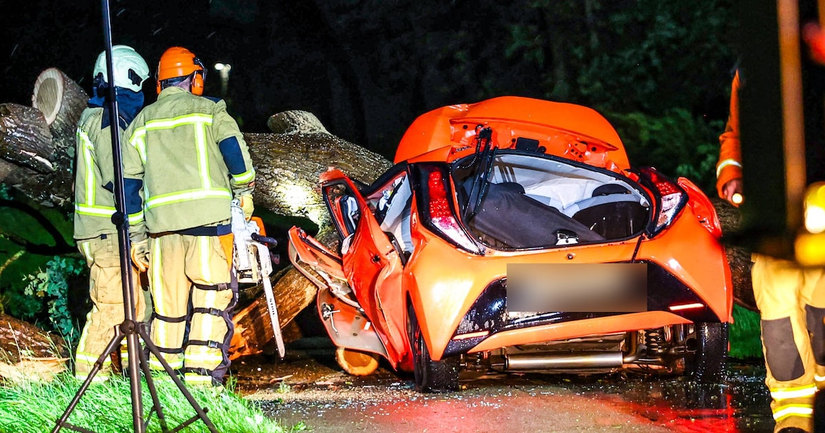 Dode door noodweer: boom valt op rijdende auto in Drenthe, vrouw (25) overleden
