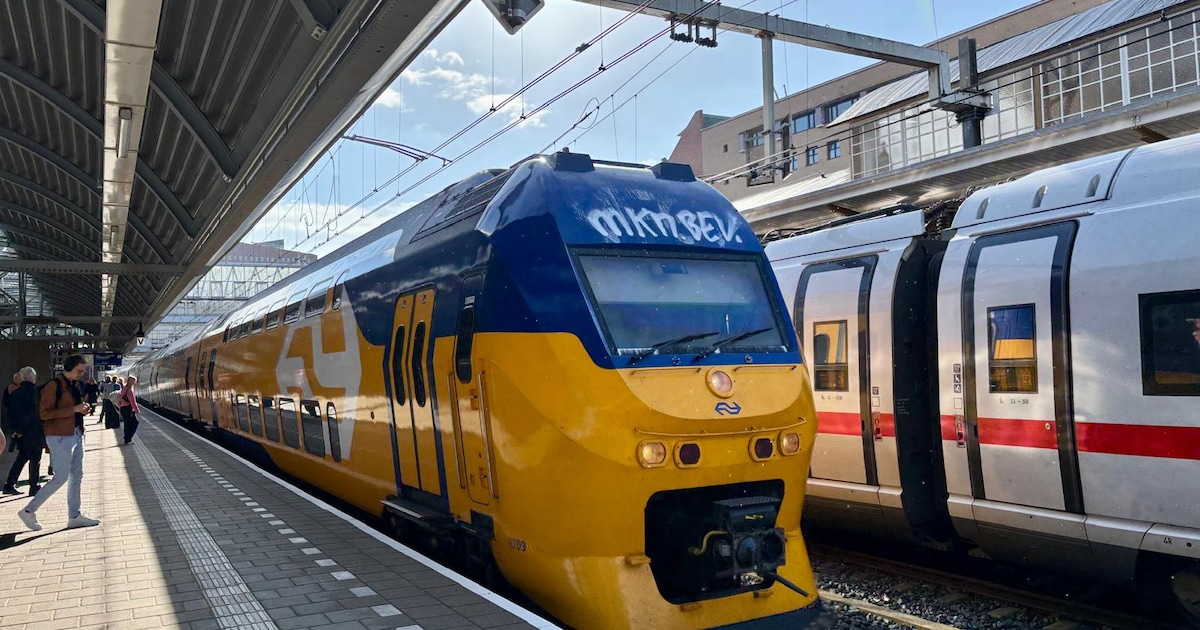 Werk aan spoor tussen Amersfoort en Barneveld raakt treinen naar Ede-Wageningen