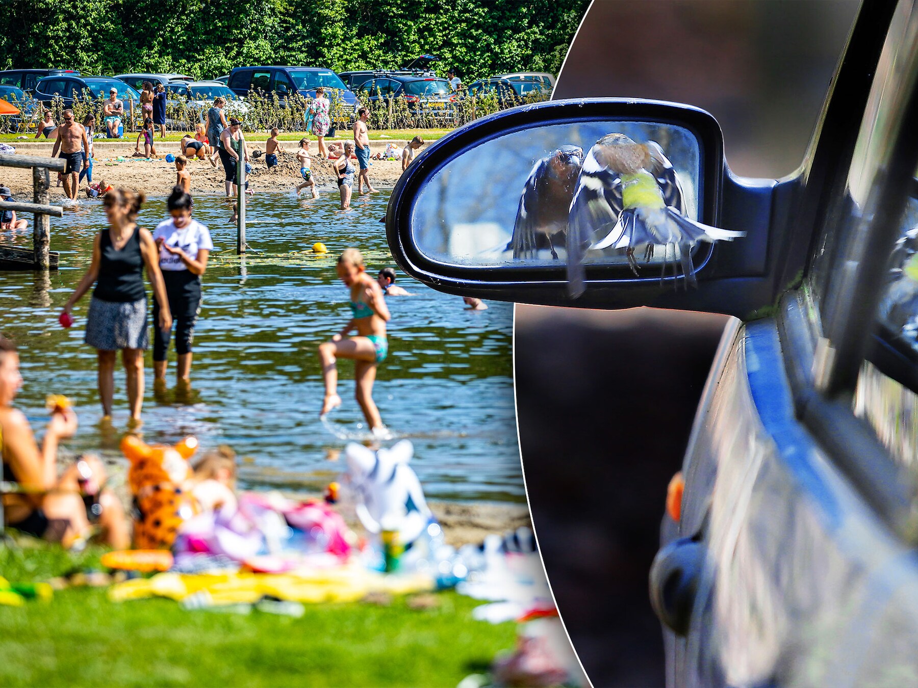 Het lijkt simpel, maar met het neerzetten van een slagboom ben je er niet: parkeren bij Biesbosch blijft gratis
