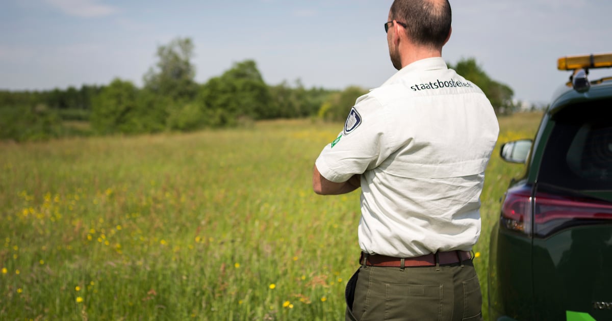 Nachtwachters gezocht in Leeuwarden