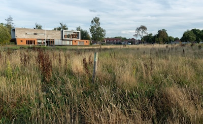Image related to the article