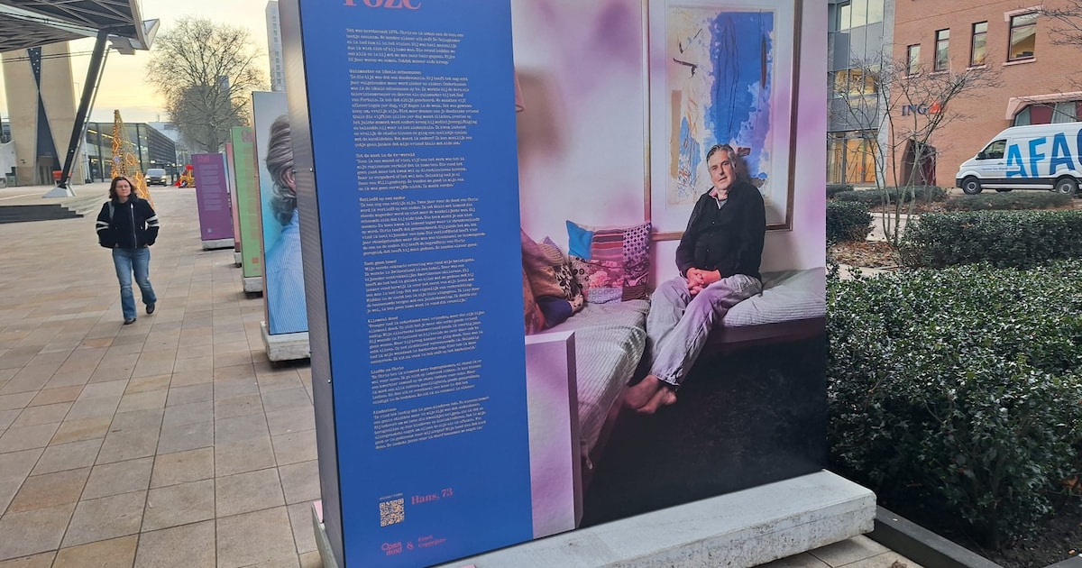 Expositie OUDROZE is te zien in gemeentehuis Alphen aan den Rijn
