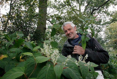 Farmyards must remain clean: Rijnland takes a tough stance on surface water risks