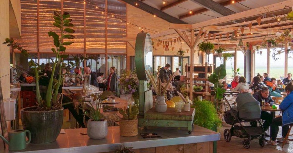 Twee bedrijven uit Zuidplas genomineerd voor ondernemersprijs Midden-Holland