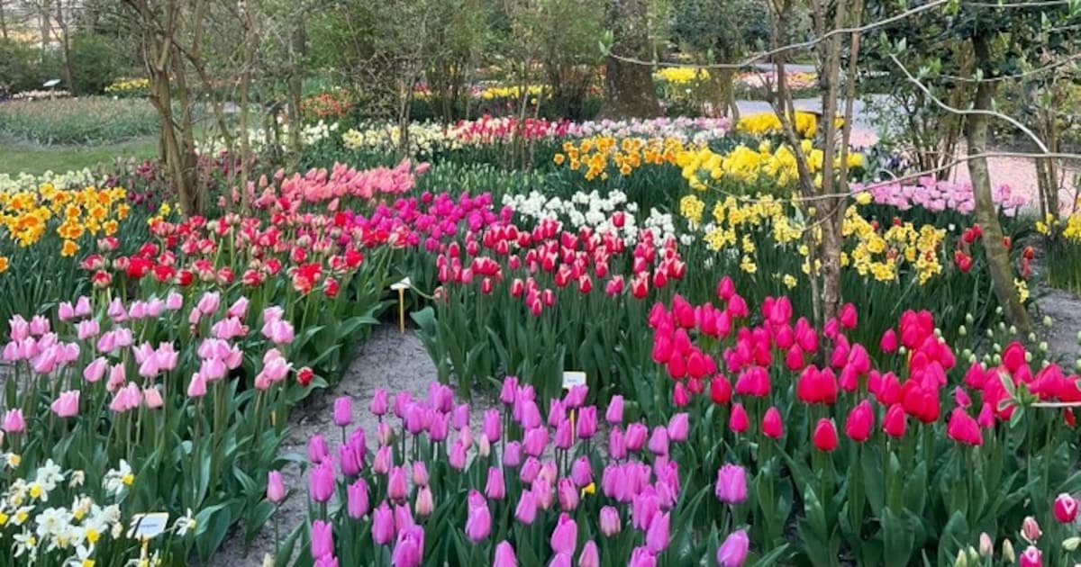 Verlengde samenwerking verzekert toekomst van de Poldertuin in Anna Paulowna