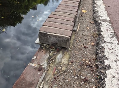 Image related to the article