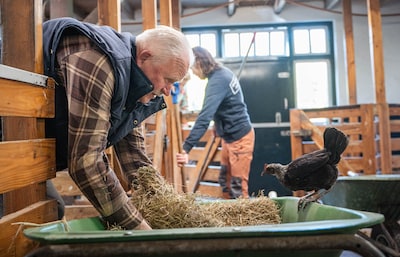 Bertus (66) werkt én woont al 46 jaar op de kinderboerderij, nu neemt hij afscheid: ‘Dit is mijn hel