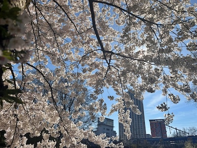 Image related to the article