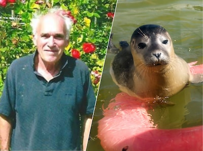 Joost (84) ziet ‘zielige’ zeehondenpup op strand en neemt hem mee naar huis: ‘Ik moest wel’