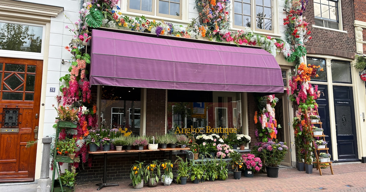 Nieuwsoverzicht: programma kermis en Cambodjaanse bloemenwinkel