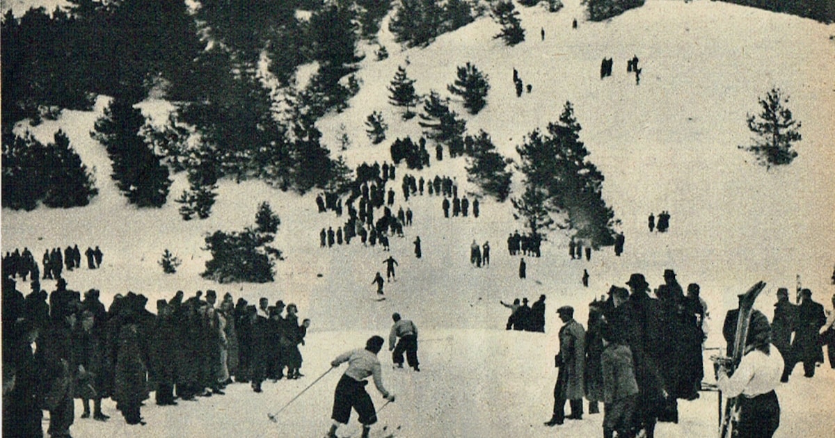 Met Peter en Hugo langlaufen op de Posbank: ‘Laat maar hangen die armen’