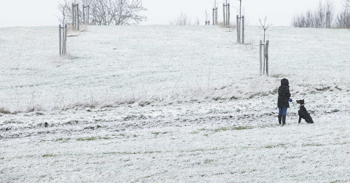Dik pak sneeuw in Zuid-Limburg, tien centimeter in de heuvels
