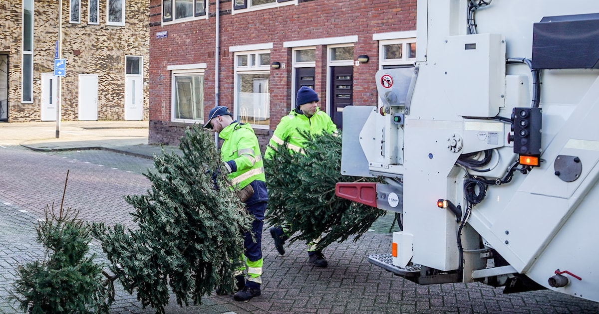 RMN haalt kerstbomen na driekoningen weer op in gemeente Zeist