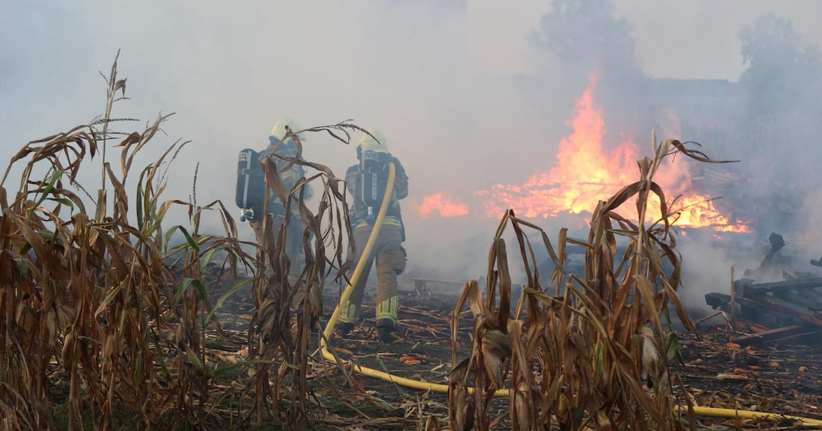 Jubileumfeest bij Niverplast eindigt met grote brand in maisland naast het bedrijf