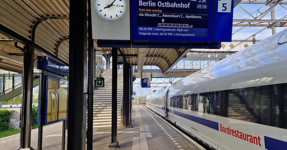 Vreemde trein, een nieuwe bar, de beste oranjetompoucen en meer nieuwtjes uit Woerden