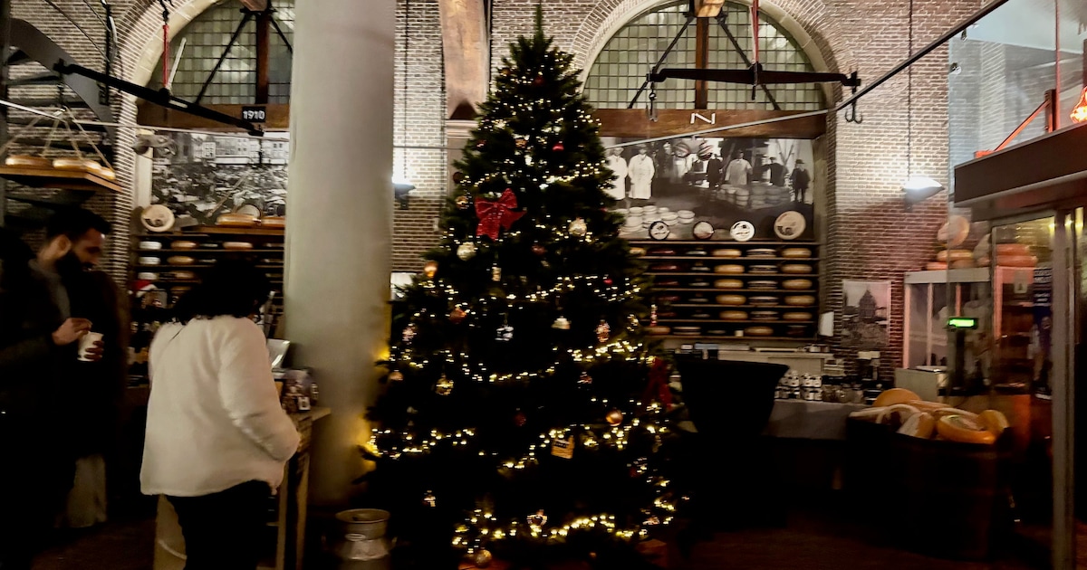Teylingen stelt 70 gratis kerstbomen beschikbaar voor buurten