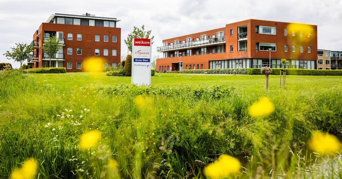 Zorgwaard sust onrust in De Grote Weel: ‘Huiskamer van de Wijk blijft ...