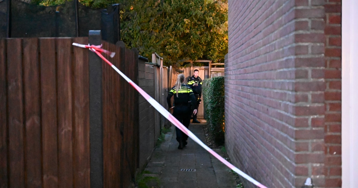 Dode gevonden in Nieuwegeinse steeg, omgeving afgezet voor politieonderzoek