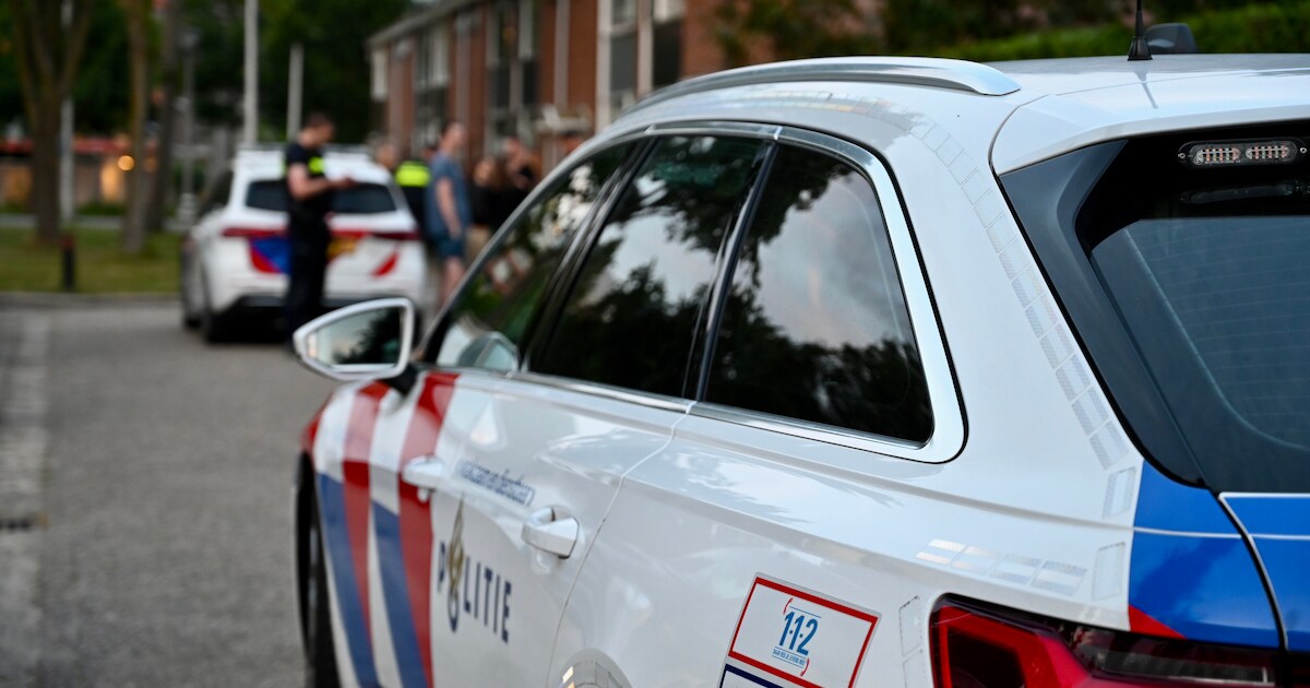 Grote ruzie in Leerdam escaleert wanneer een schutting wordt ingetrapt, politie neemt wapens in besl