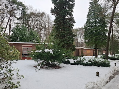 Zon en Schild wil snel einde aan kraakactie in bungalow voor gemoedsrust van patiënten