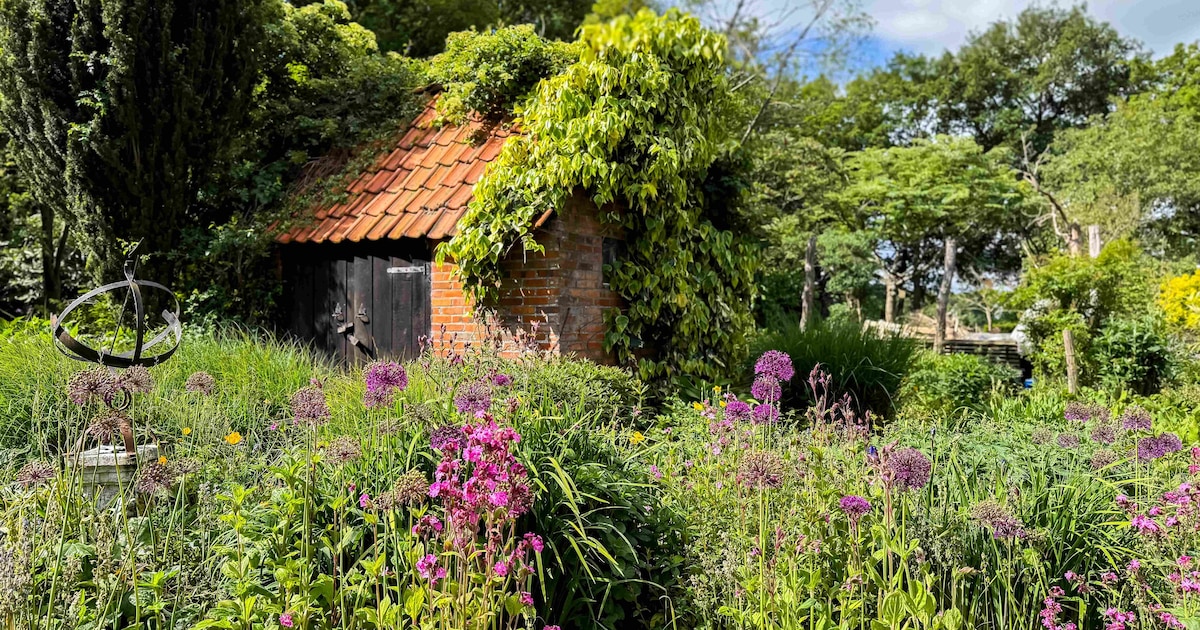Bij levende Tuinenroute in Steenwijkerland zetten twintig tuinen de poorten open