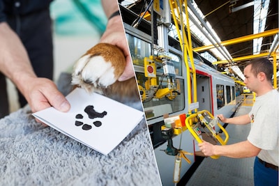 Van dierencrematorium Adio tot NMBS: deze 9 bedrijven in de provincie Antwerpen zijn een bezoekje wa