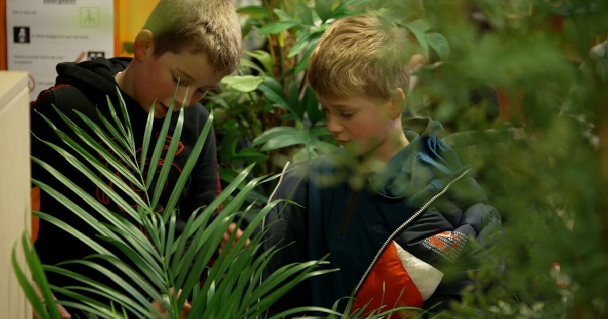 Basisschool in Montfoort krijgt groene make-over bij aftrap Intratuin-actie