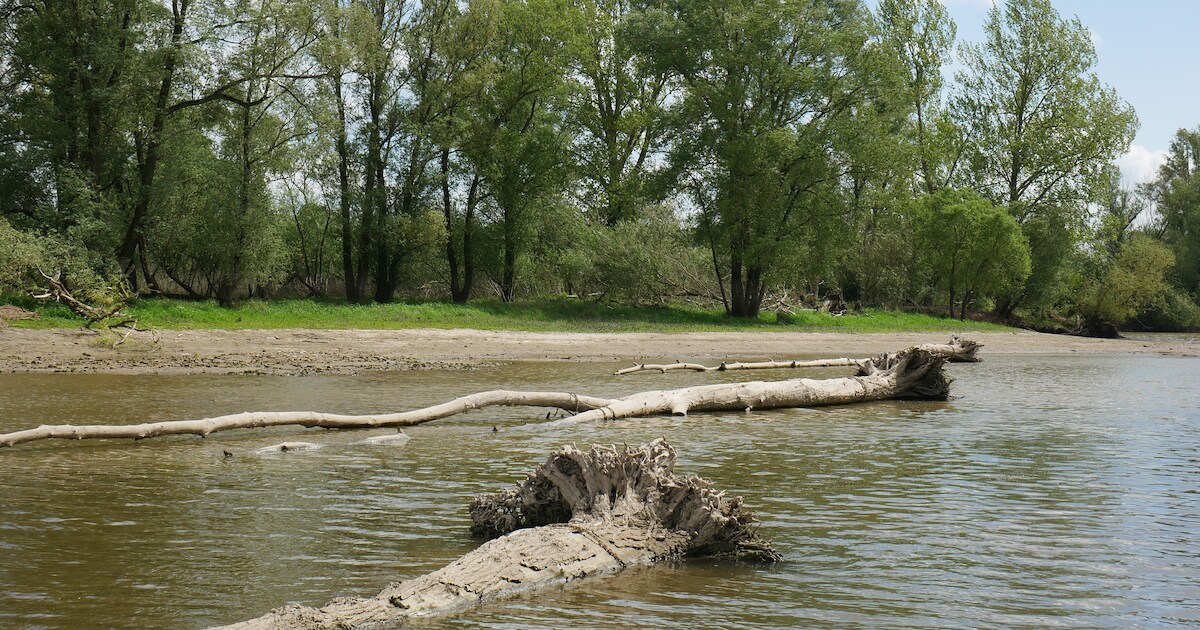 Op ontdekkingstocht langs de Waal