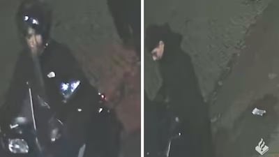 Image related to the article