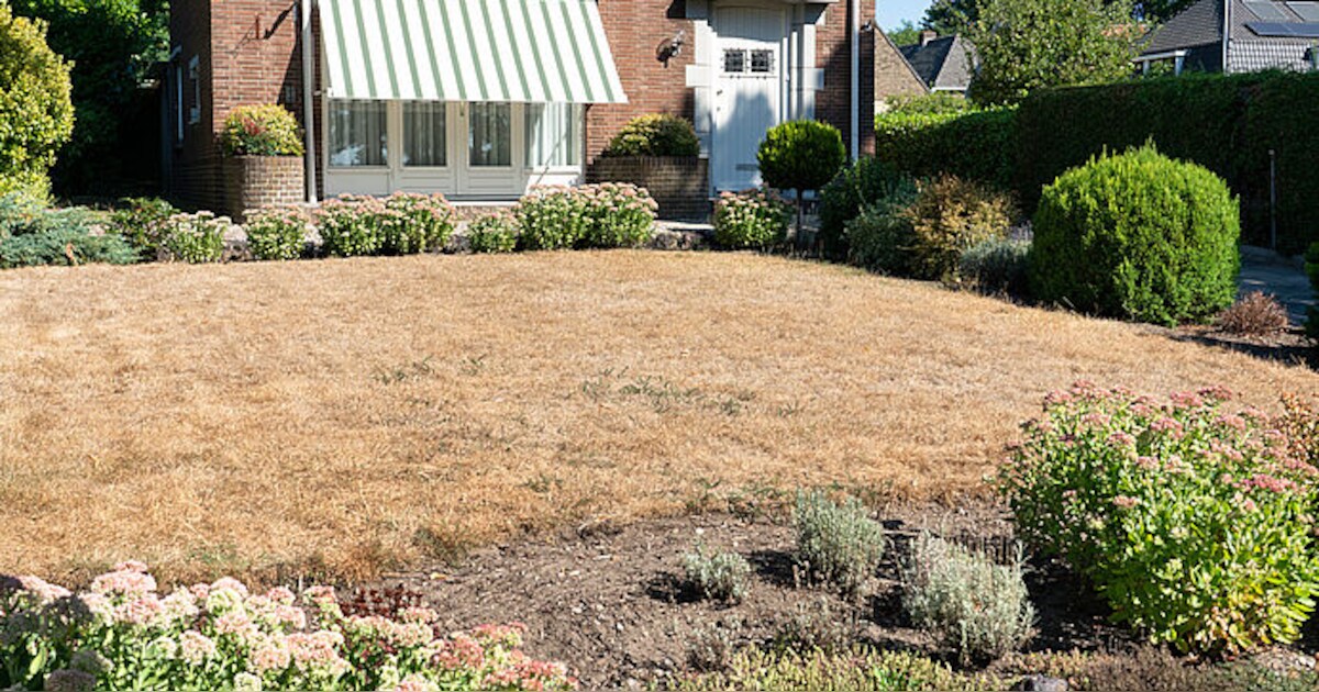 Ermelo geeft tips voor tuin tijdens warme dagen