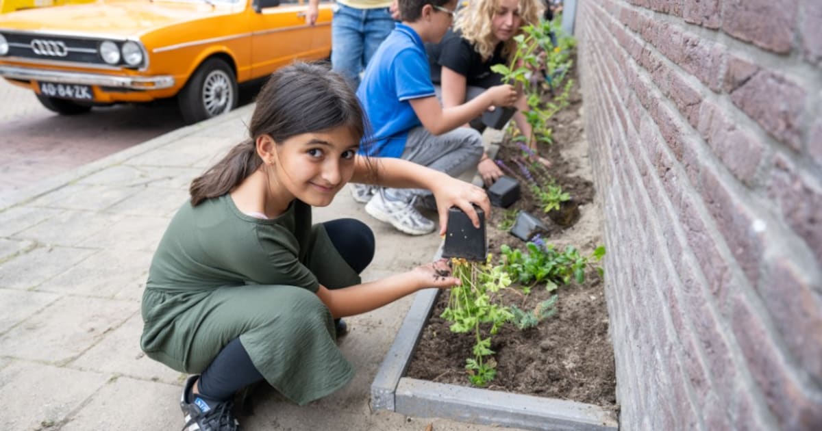 Bodegraven-Reeuwijk geeft gratis geveltuintjes weg