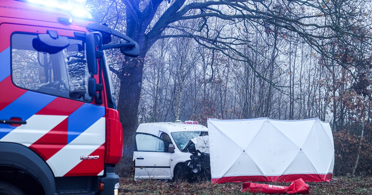 Bestuurder bestelbus overleden na botsing met boom in Nieuw-Schoonebeek