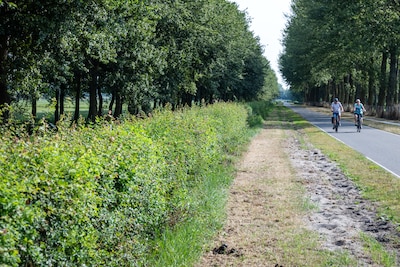Biologische boer laat per ongeluk heg met vogeltjes wegsnoeien, midden in broedseizoen: ‘Blunder geweest’