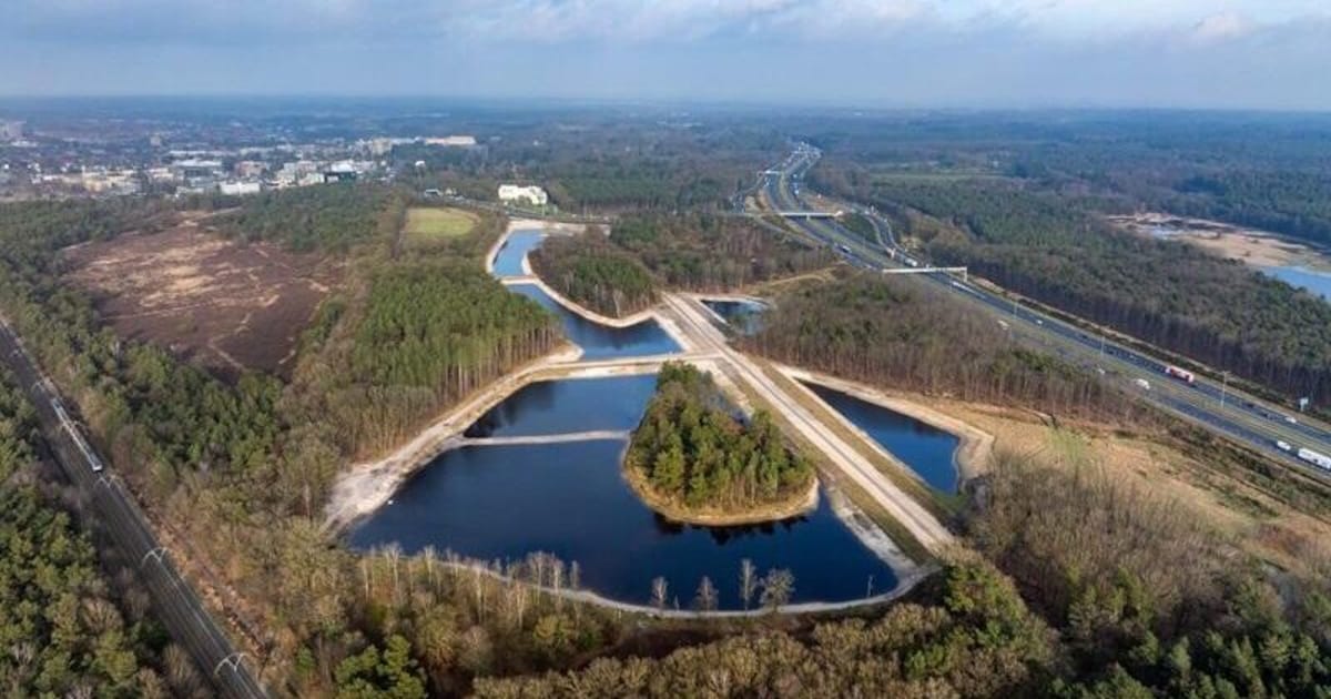 Natuurgebied Huydecopersbos opent voor excursies in Hilversum
