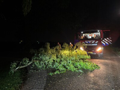 Brandweer rukt uit voor afgebroken tak die weg blokkeert in Bakel