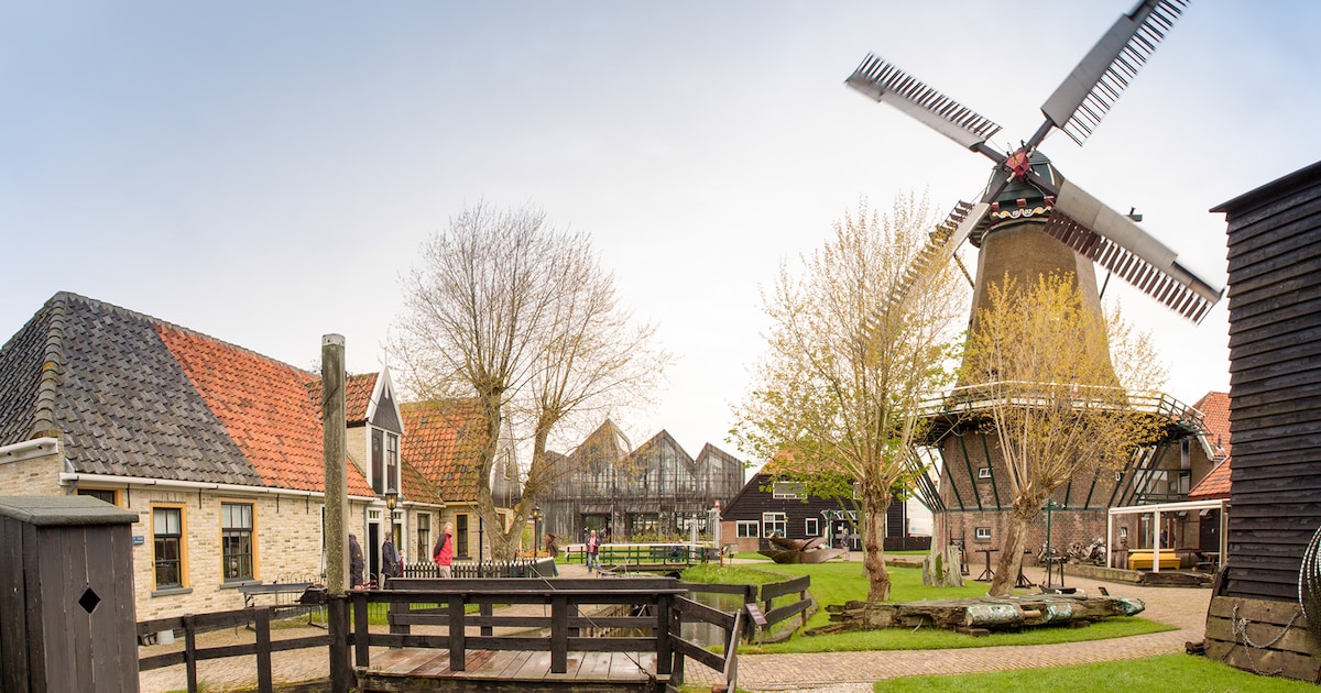 Museum Kaap Skil houdt gratis workshop linosnijden voor Texelse jongeren