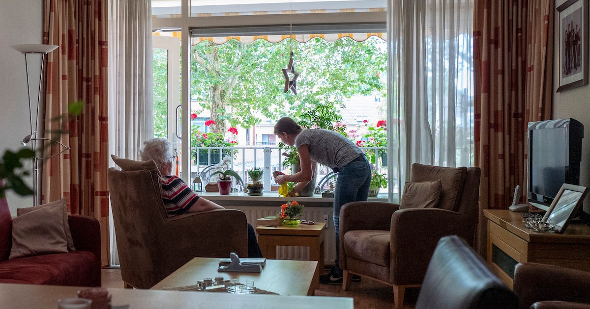 Steeds meer West-Brabanders kunnen niet zonder hulp in huis: kosten ...